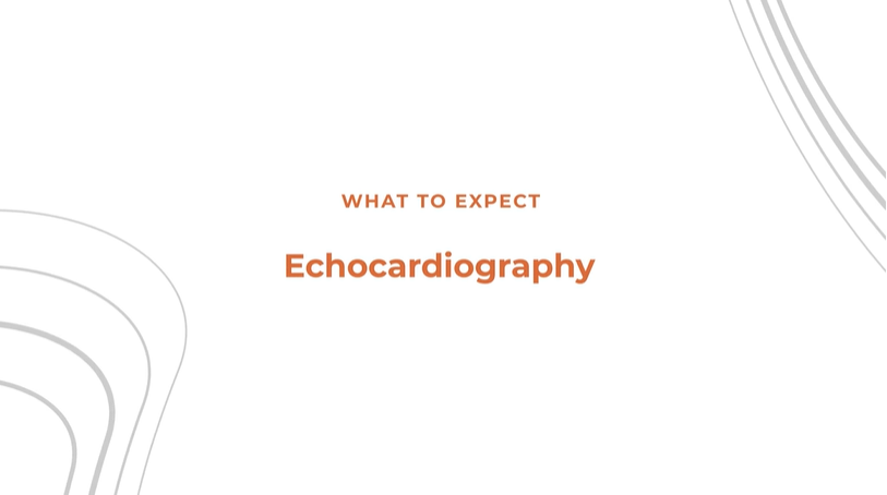 Echocardiogram Test - Expectations and Results